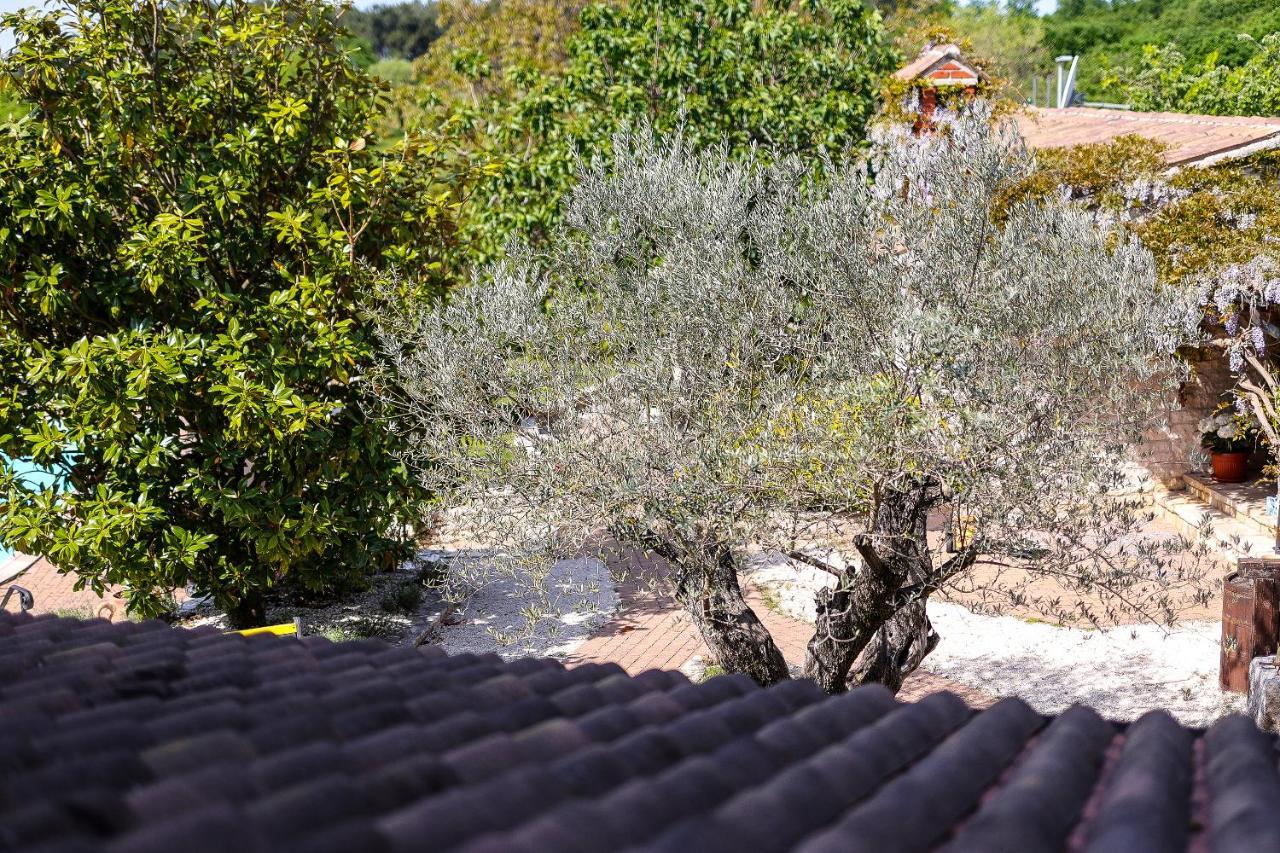 Casa Rustica Dva Baladura Kanfanar