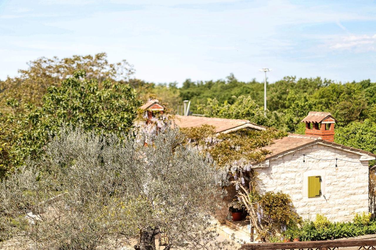 Casa Rustica Dva Baladura